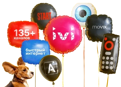 Услуги Дом.ру в деревне Мисайлово